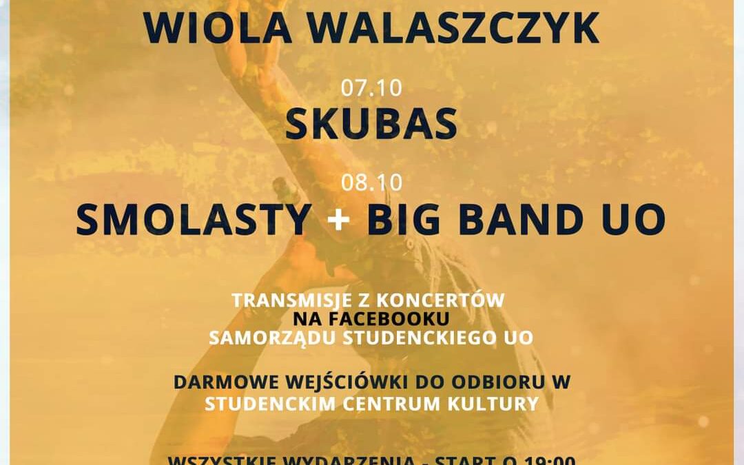 O Wiolce Walaszczyk słów kilka…