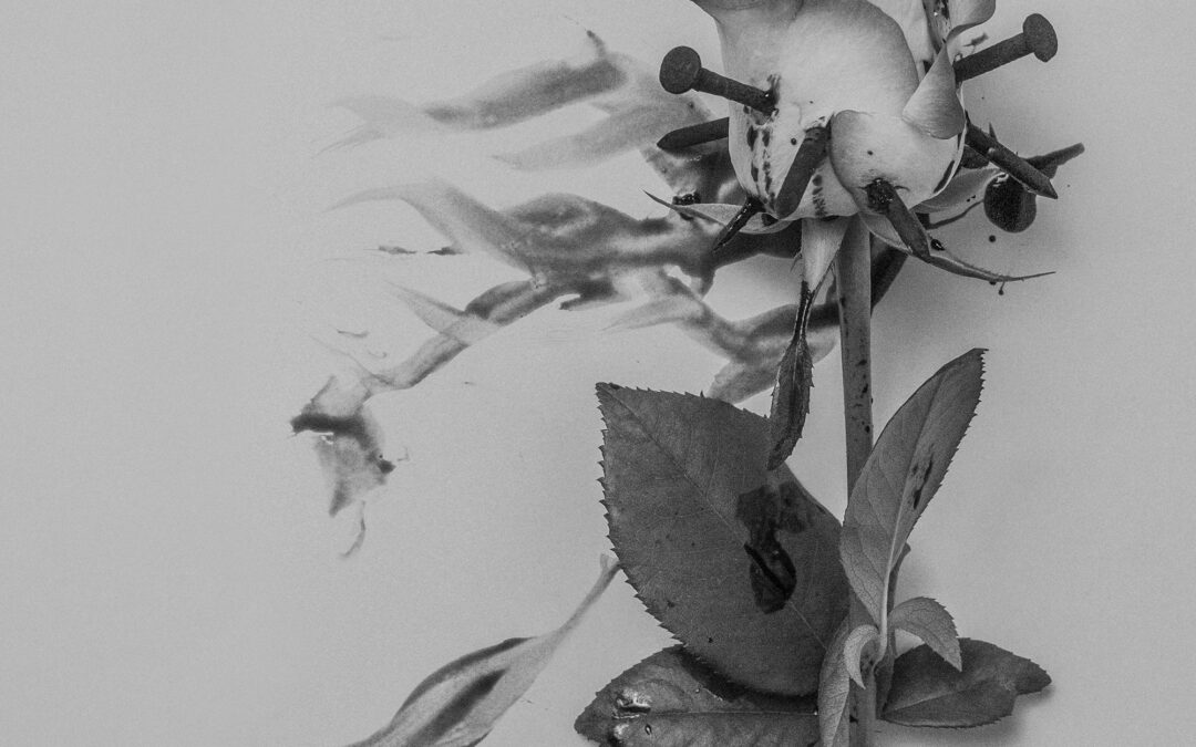 Jarosław Niemiec – The Fable of Fragile Life Dissipated by the Ruthless World. Recenzja płyty