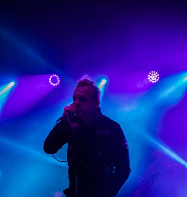 Piastonalia 2018: wywiad z Piotrem Roguckim – Coma