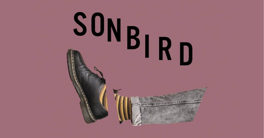 Sonbird – Głodny. Recenzja płyty.